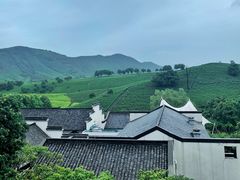 -帐篷客·溪龙茶谷度假酒店