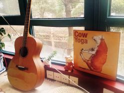 -Union瑜伽健康管理中心