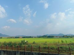 -光明小镇欢乐田园
