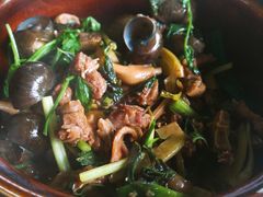 紫苏田螺炆青头鸭-大自然美食农庄(广州南站店)