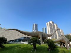 -安徽省地质博物馆