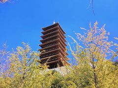 -牛首山文化旅游区