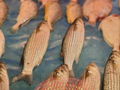 -长平老姿娘夜粥(平东一街店)