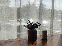 -朝馆·市井本味菜