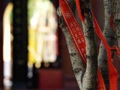 -常州天宁禅寺