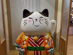 -屋虎猫馆(宝安大仟里店)