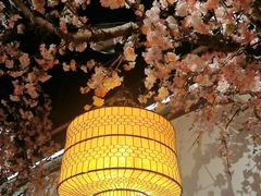 -绿茶餐厅(朝阳大悦城店)