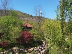 -大连植物园