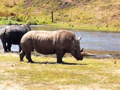 -威勒比开放式动物园