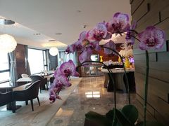 -武汉马哥孛罗酒店