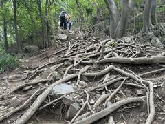 -紫金山山顶公园
