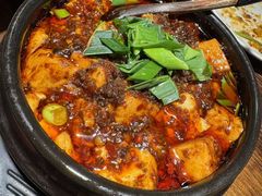 陈麻婆豆腐-陈麻婆豆腐(旗舰店)