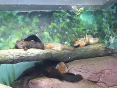 罗源湾海洋世界-福州罗源湾海洋世界旅游区