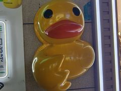 -LINLEE林里·手打柠檬茶(江桥万达店)