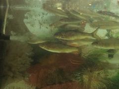 -神憩宾馆-餐厅