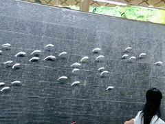 -三亚山海天JW万豪酒店