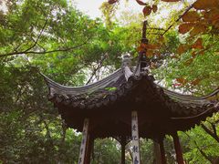 -秋霞圃