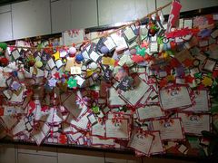 -长藤鬼校(龙翔店)