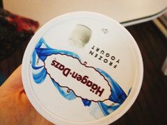 -哈根达斯(武汉天地店)