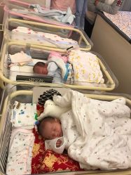 -弗蕾亚·和月月子调理院(东湖店)