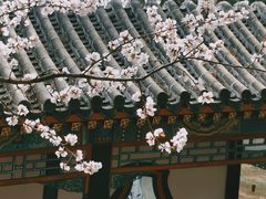 -颐和园