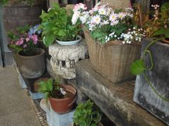 -蜜桃餐厅·江浙融合菜(荟聚购物中心店)