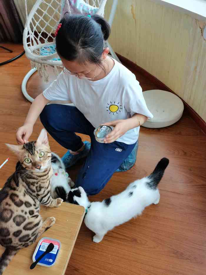 张猫猫咖啡·羊驼主题馆(大华店)-"今天带着两个小姐妹去撸猫,团的是