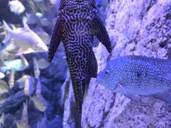 -成都浩海立方海洋公园