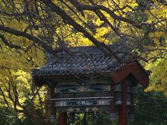-迎泽公园
