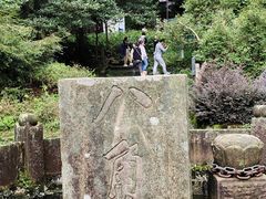 -缙云山景区