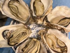 -千岛蚝高压锅生蚝·人参火锅(白云万达店)