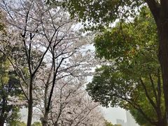 -苏州东太湖生态园