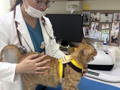 -美联众合动物医院·24h京西诊疗中心