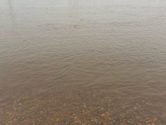 -黑龙江公园