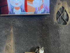 -猫猫幼稚园·撸猫·桌游·电玩
