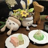 出片圣地确实不一般📸