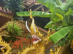 -西双版纳总佛寺
