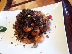 -碧丽宫大酒店(召稼楼店)