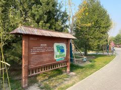 -大兴滨河森林公园