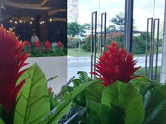 -华邑酒店·鲜艳全日自助餐厅