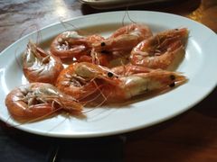-绿光森林餐厅