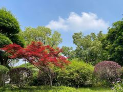 -武汉园博园(武汉自然博物馆)