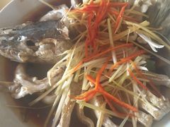 -煲来饱去冷水鱼