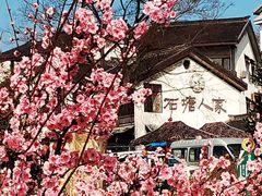 -石塘人家