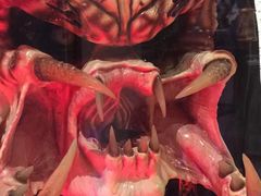 -疯克大象美式烤肉餐厅