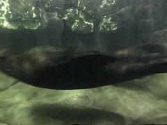 -南昌海洋公园