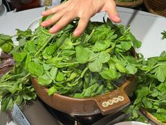 -老鼎万春卤菜(五代传承创始老店)