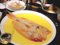 鸡油蒸风干东星斑-甄御•海鲜新青岛菜(麦岛店)