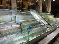 -光海鲜鱼翅餐厅(叻差拉披色路店)
