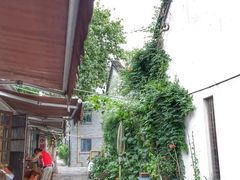 -运河游船(武林门码头)